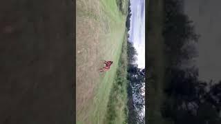 Walking our Vizsla