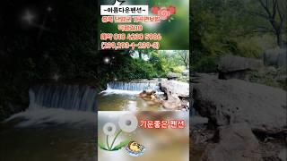기운좋은펜션 벗꽃펜션 #단양펜션#단양여행  #단양기도하기좋은곳 #단양군 #단양토지매매 #솔밭펜션#단양아름다운펜션