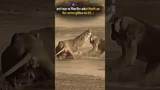 #shorts_##YouTube shots##Sahil Ansari#