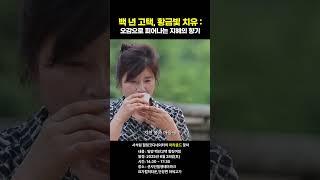 백 년 고택, 황금빛 치유: 오감으로 피어나는 지혜의 향기