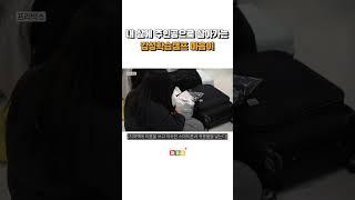 내 삶의 주인공으로 살아가는 감성학습캠프 마음이