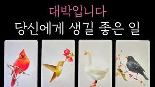 [타로] 미리 내다봄 소름 주의대박입니다 당신에게 생길 좋은 일