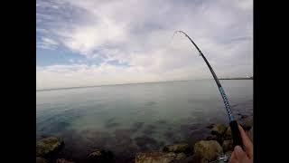 Venice Florida jetty fishing