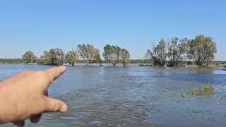 Flooding in Lower Silesia.  Flooded fields on day two after the flood gates were opened.