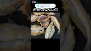 香煎沙梭...現釣現煮#車中泊#沙腸仔#Kiss魚#Shorts
