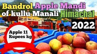 Apple Mandi of kullu, Himachal Pradesh 2022/Bandrol Apple Market of Kullu Manali