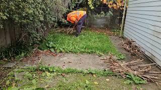 Helping out homeowner with his LAWN his lawnmower was broken 