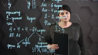 Генетический код. 11 класс.