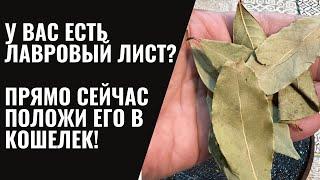 У вас есть Лавровый Лист?! Положите лавровый лист в Кошелёк!