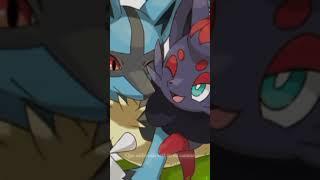 Zorua and rioluedit they are besties #pokemon #lucario #zorua  my fav Pokemon after glaceon ️