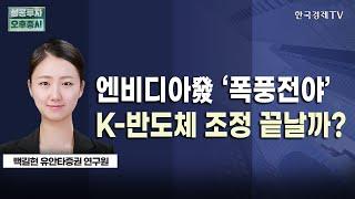 엔비디아 실적발표 '초읽기', 삼성전자·SK하이닉스 주가 향방은?｜11월 20일 투자전략