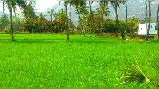 Krishnagiri beautiful villages