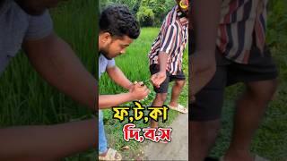 প,ট,কা, ফু,টা,নো,র পর উঠে দৌ,ড় দিল কেন? #comedyvideos #comedy #funny