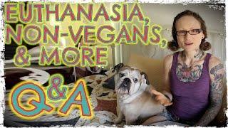 Euthanasia, Non-Vegan Family & Friends, Stuff About Me, Etc | Q&A