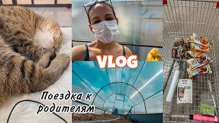 VLOG: КОТИКИ  ВЫХОДНЫЕ С СЕМЬЕЙ  УРАЛЬСКАЯ ВЕСНА  ПОКУПКИ СВЕТОФОР