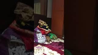 Gurughar aweer dubai