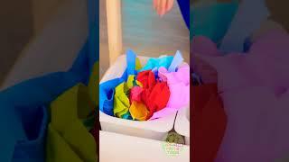 Can You Wash Your Own Clothes?  Let’s Learn How! 
