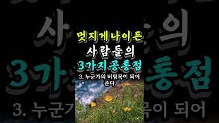 멋지게 나이든 사람들의 3가지 비밀 #오늘의명언 #중년조언 #자기계발