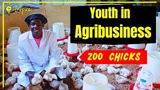 Inspiring Journey of a Young Poultry Farmer in Kenya