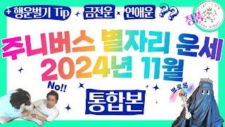 주니버스  2024년 11월 별자리운세