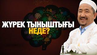 Жүрек тыныштығы неде ? | Нұрлан имам | Жүрек сөзі