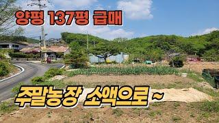 137평 작은금액으로 구입가능한 양지바른 양평 주말농장 및 토지