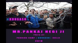 2018 | Mr. Pankaj Negi ji | Pruning Camp | KUNGASH | KULLU |  Lets Grow Apple