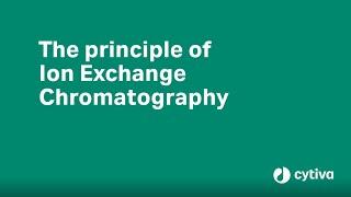 Principles of ion exchange chromatography explained