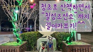 [속초 강아지와 가볼만한 산책코스]청초호+칠성조선소애견동반카페