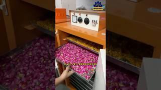 Vegetables Dryer 2025 Model | Fruit Flowers And Food Dehydrator Machine | #dryer #food #dehydrator