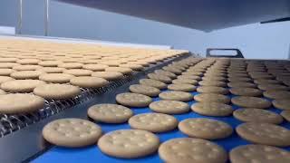 SINOBAKE Hard biscuit production line