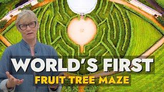 The STUNNING Gardens Home To The World's Only Fruit Tree Maze!