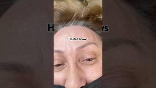 Healed Microblading #beauty #microblading #pmu #beautyindustry #brows