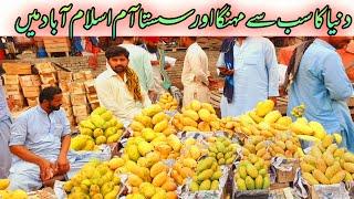 World Most Expensive Mango In Islamabad | Premium Export Quality  | Mango Street Reasonable prices |