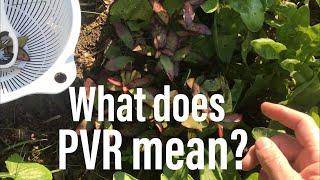 Plant Variety Rights (PVR) - NZ Plantopedia