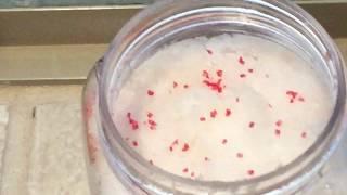 Peppermint Sugar Scrub Tutorial!: How To Make Sugar Scrub-Christmas Gift