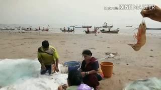 FISHING - SEA FOOD|| CATCH OF THE DAY|| VERSOVA KOLIWADA