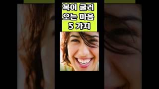 복이 굴러 오는 마음 5가지 #명언 #좋은글 #격언 #지혜 #짧은글 #동기부여 #인생조언