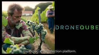 Revolutionizing Vineyard Management with DRONEQUBE