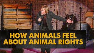 How Animals Feel About Animal Rights! | Brad Stine Has Issues