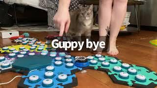 Meet Guppy, Billi’s Annoying Little “Cousin” | BilliSpeaks