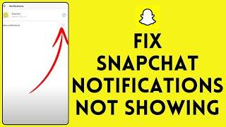 How to Fix Snapchat Notifications Not Showing 2024