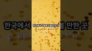 [정보] 한국에서 3월에 가볼 만한 곳 TOP 5!