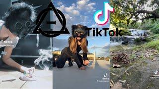 Therian and Quadrobics TikToks || Compilation  || Alterhumans of TikTok #3