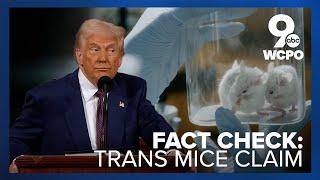 Does the government fund studies aimed at 'making mice transgender'?