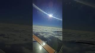 Above the clouds #aviation #pilot #grumman