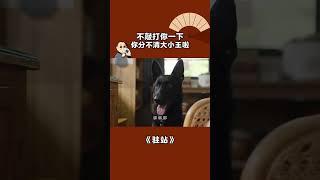 不敲打你一下，你分不清大小王啦 #驻站 #郭京飞