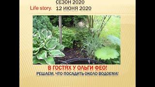 В гостях у Ольги Фео! Решаем, что посадить около водоема!