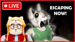 Roblox Piggy Decay (Chapter Escape)