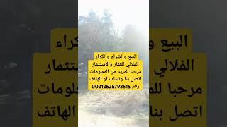 شريك في النجاح خدمات متكاملة بيع وشراء وكراء. الاستثمار تقييم العقارات، استشارات  وإدارة العقارات.